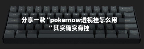 分享一款“pokernow透视挂怎么用”其实确实有挂-第2张图片