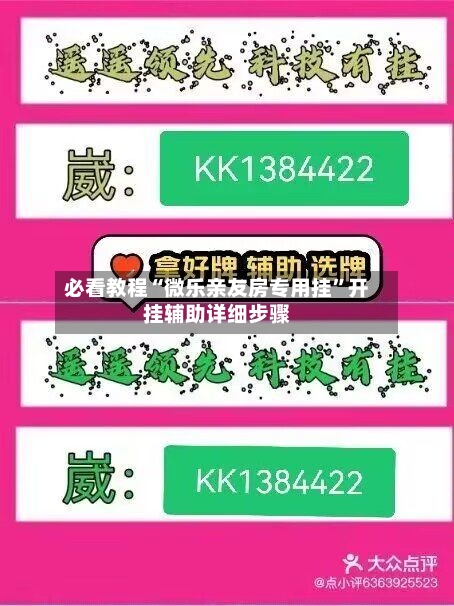 必看教程“微乐亲友房专用挂”开挂辅助详细步骤-第3张图片