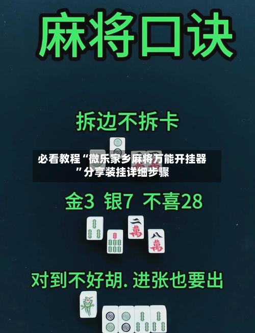 必看教程“微乐家乡麻将万能开挂器	”分享装挂详细步骤-第2张图片
