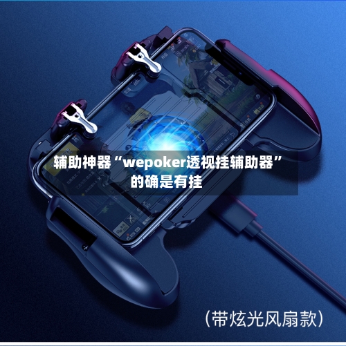 辅助神器“wepoker透视挂辅助器”的确是有挂-第3张图片