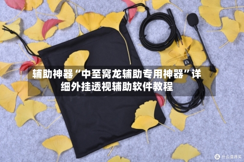 辅助神器“中至窝龙辅助专用神器”详细外挂透视辅助软件教程-第2张图片