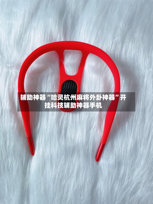 辅助神器“哈灵杭州麻将外卦神器”开挂科技辅助神器手机-第3张图片