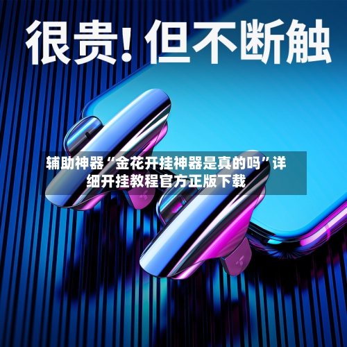 辅助神器“金花开挂神器是真的吗”详细开挂教程官方正版下载-第3张图片