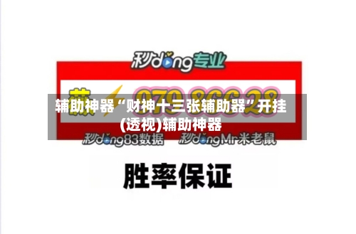 辅助神器“财神十三张辅助器	”开挂(透视)辅助神器-第2张图片