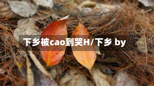 下乡被cao到哭H/下乡 by-第2张图片