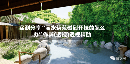 实测分享“丽水茶苑碰到开挂的怎么办”作弊(透视)透视辅助-第3张图片