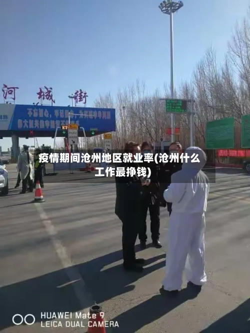 疫情期间沧州地区就业率(沧州什么工作最挣钱)