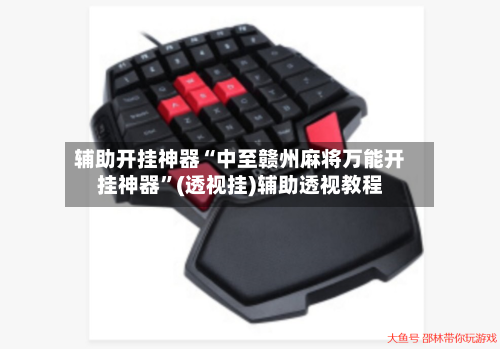 辅助开挂神器“中至赣州麻将万能开挂神器”(透视挂)辅助透视教程-第2张图片