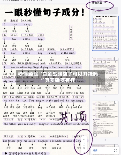 秒懂经验“白金岛跑胡子可以开挂吗	”其实确实有挂-第2张图片