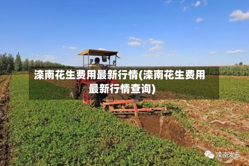 滦南花生费用最新行情(滦南花生费用最新行情查询)-第2张图片