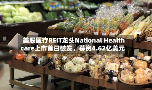 美股医疗REIT龙头National Healthcare上市首日破发，募资4.62亿美元-第3张图片