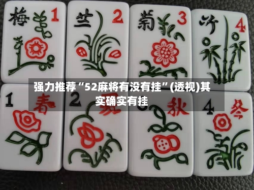 强力推荐“52麻将有没有挂	”(透视)其实确实有挂-第2张图片