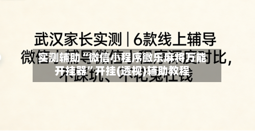 实测辅助“微信小程序微乐麻将万能开挂器”开挂(透视)辅助教程-第3张图片
