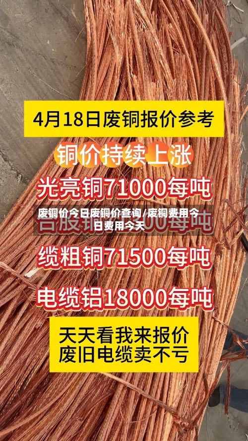 废铜价今日废铜价查询/废铜费用今日费用今天