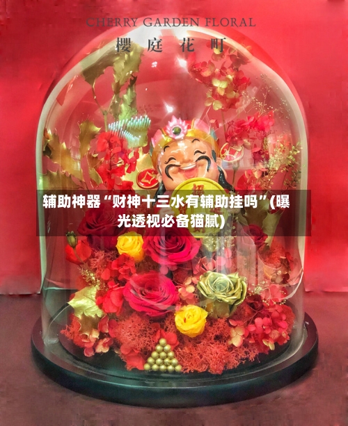 辅助神器“财神十三水有辅助挂吗	”(曝光透视必备猫腻)-第3张图片