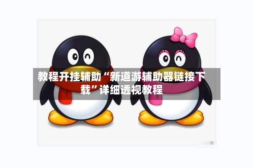 教程开挂辅助“新道游辅助器链接下载”详细透视教程-第3张图片