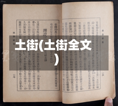 土街(土街全文)-第3张图片