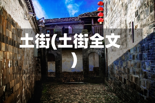 土街(土街全文)