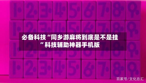 必备科技“同乡游麻将到底是不是挂”科技辅助神器手机版-第3张图片