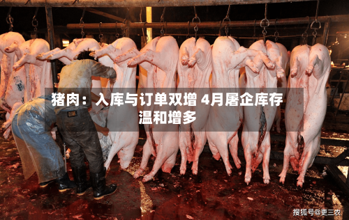 猪肉：入库与订单双增 4月屠企库存温和增多-第3张图片