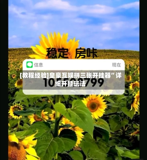 [教程经验]皇豪互娱拼三张开挂器	”详细开挂玩法-第2张图片