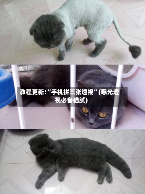 教程更新!“手机拼三张透视”(曝光透视必备猫腻)-第2张图片