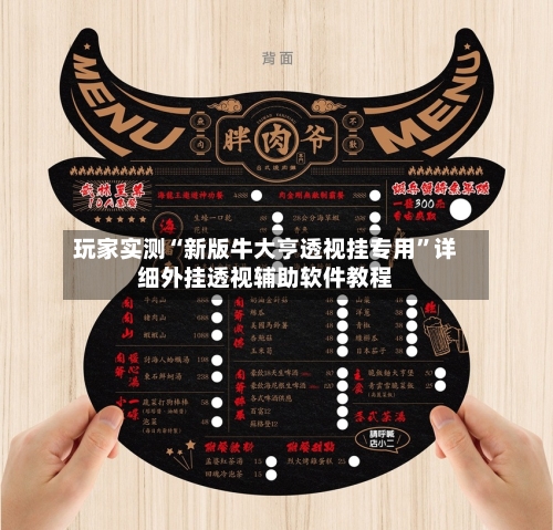 玩家实测“新版牛大亨透视挂专用”详细外挂透视辅助软件教程-第3张图片