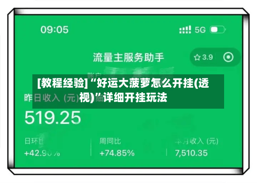 [教程经验]“好运大菠萝怎么开挂(透视)	”详细开挂玩法-第2张图片