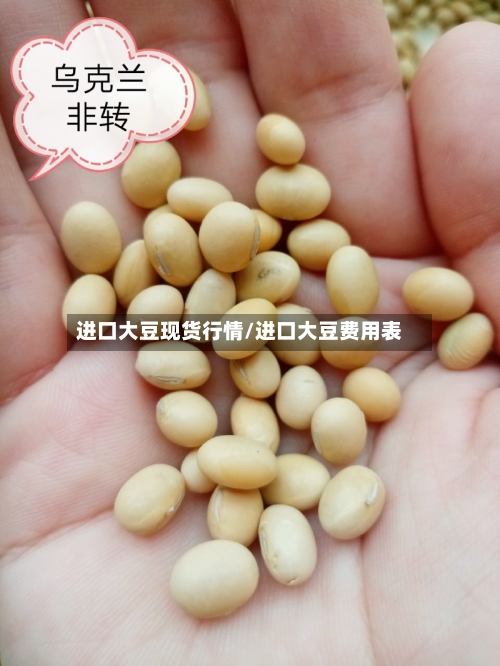 进口大豆现货行情/进口大豆费用表