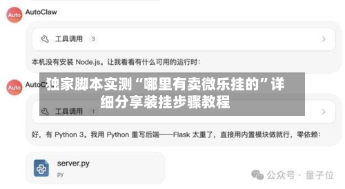 独家脚本实测“哪里有卖微乐挂的”详细分享装挂步骤教程
