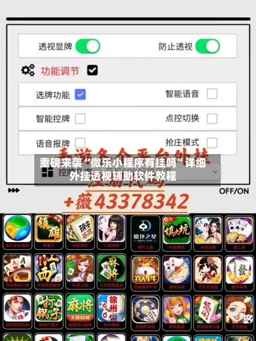 重磅来袭“微乐小程序有挂吗”详细外挂透视辅助软件教程-第2张图片