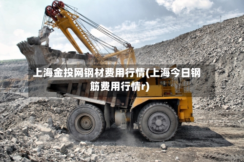 上海金投网钢材费用行情(上海今日钢筋费用行情r)-第2张图片