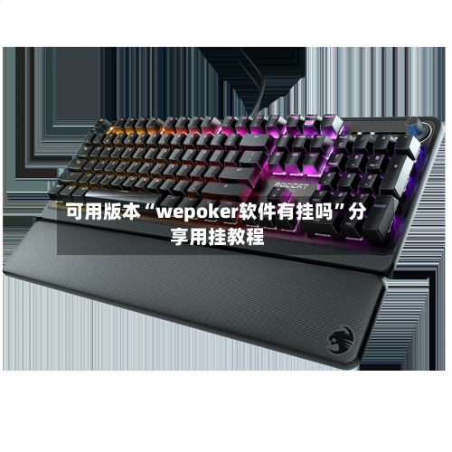 可用版本“wepoker软件有挂吗	”分享用挂教程-第2张图片