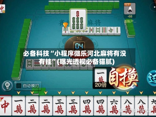 必备科技“小程序微乐河北麻将有没有挂	”(曝光透视必备猫腻)-第2张图片