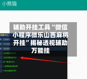 辅助开挂工具“微信小程序微乐山西麻将开挂	”揭秘透视辅助万能挂-第3张图片