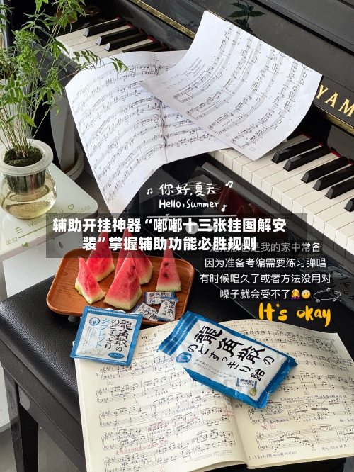 辅助开挂神器“嘟嘟十三张挂图解安装”掌握辅助功能必胜规则-第2张图片