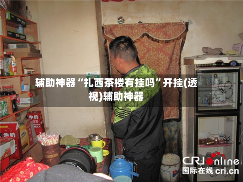 辅助神器“扎西茶楼有挂吗”开挂(透视)辅助神器-第3张图片