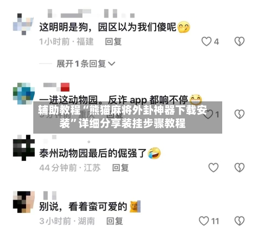 辅助教程“熊猫麻将外卦神器下载安装”详细分享装挂步骤教程-第2张图片