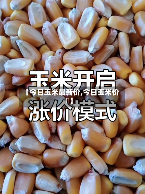 【今日玉米最新价,今日玉米价挌】-第2张图片