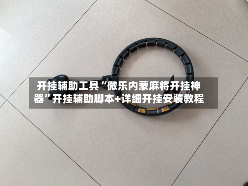 开挂辅助工具“微乐内蒙麻将开挂神器”开挂辅助脚本+详细开挂安装教程-第2张图片