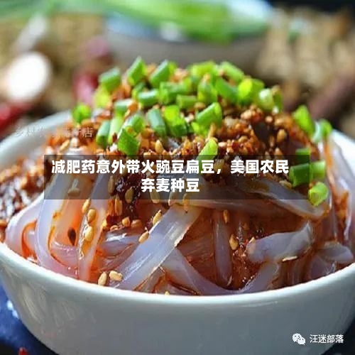 减肥药意外带火豌豆扁豆，美国农民弃麦种豆-第3张图片