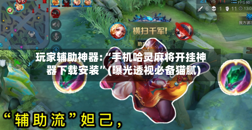 玩家辅助神器:“手机哈灵麻将开挂神器下载安装”(曝光透视必备猫腻)-第3张图片