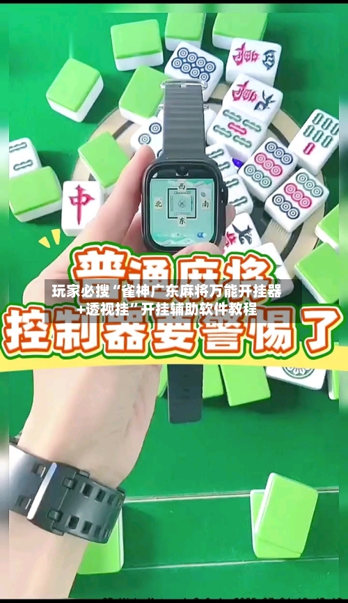 玩家必搜“雀神广东麻将万能开挂器+透视挂”开挂辅助软件教程-第3张图片