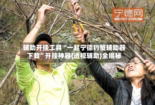 辅助开挂工具“一起宁德钓蟹辅助器下载	”开挂神器{透视辅助}全揭秘-第2张图片