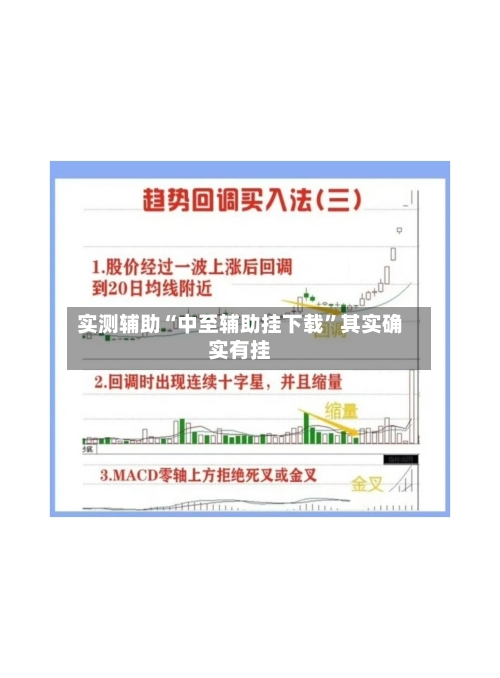 实测辅助“中至辅助挂下载”其实确实有挂-第3张图片