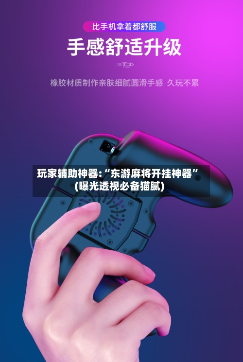 玩家辅助神器:“东游麻将开挂神器”(曝光透视必备猫腻)-第3张图片