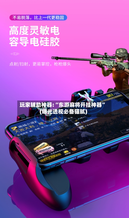 玩家辅助神器:“东游麻将开挂神器”(曝光透视必备猫腻)-第2张图片