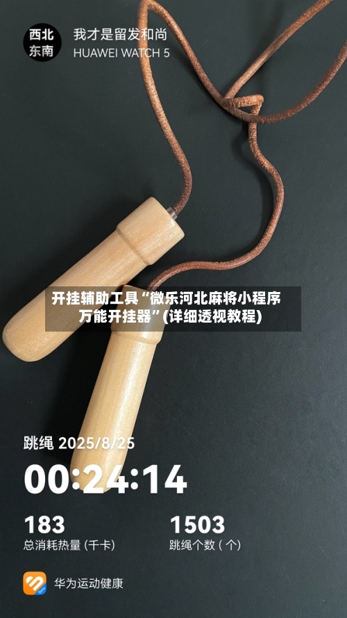 开挂辅助工具“微乐河北麻将小程序万能开挂器	”(详细透视教程)-第2张图片