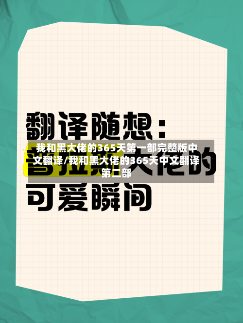 我和黑大佬的365天第一部完整版中文翻译/我和黑大佬的365天中文翻译第二部-第3张图片