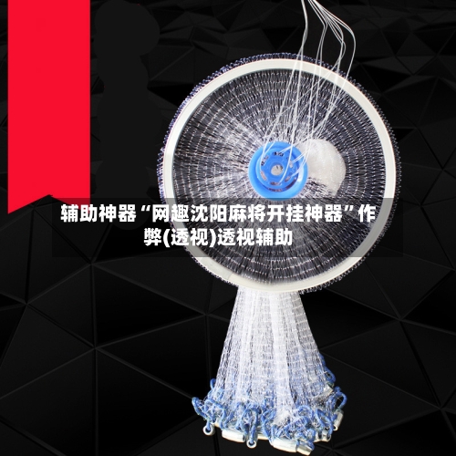 辅助神器“网趣沈阳麻将开挂神器	”作弊(透视)透视辅助-第3张图片